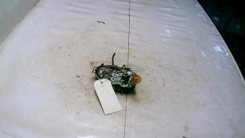 Platine feu arriere droit