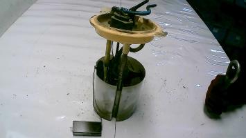 Pompe de gavage