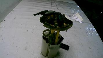 Pompe de gavage