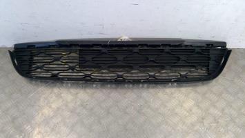 Griglia paraurti
