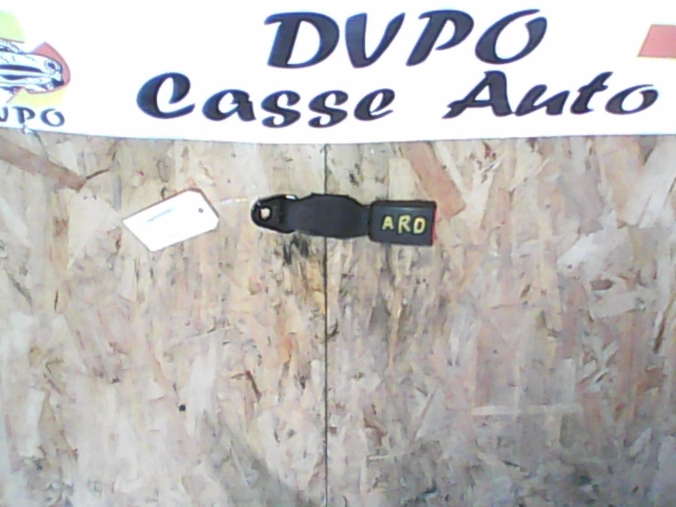 Aggancio cintura sicurezza posteriore destro