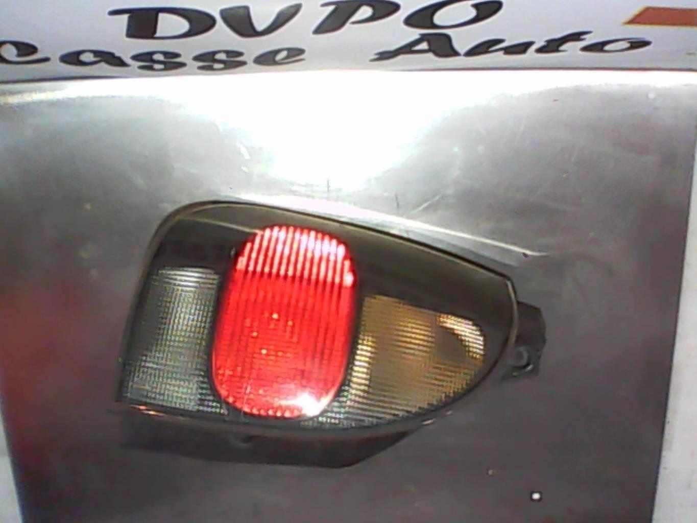 Fanale posteriore principale sinistro (luci)