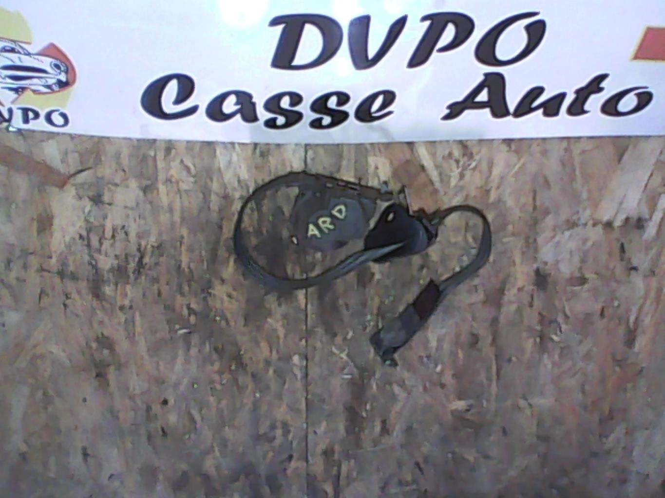Cintura di sicurezza posteriore destra