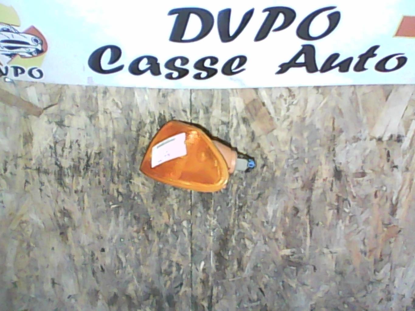 Gruppo ottico anteriore secondario sinistro (luci)(freccia)