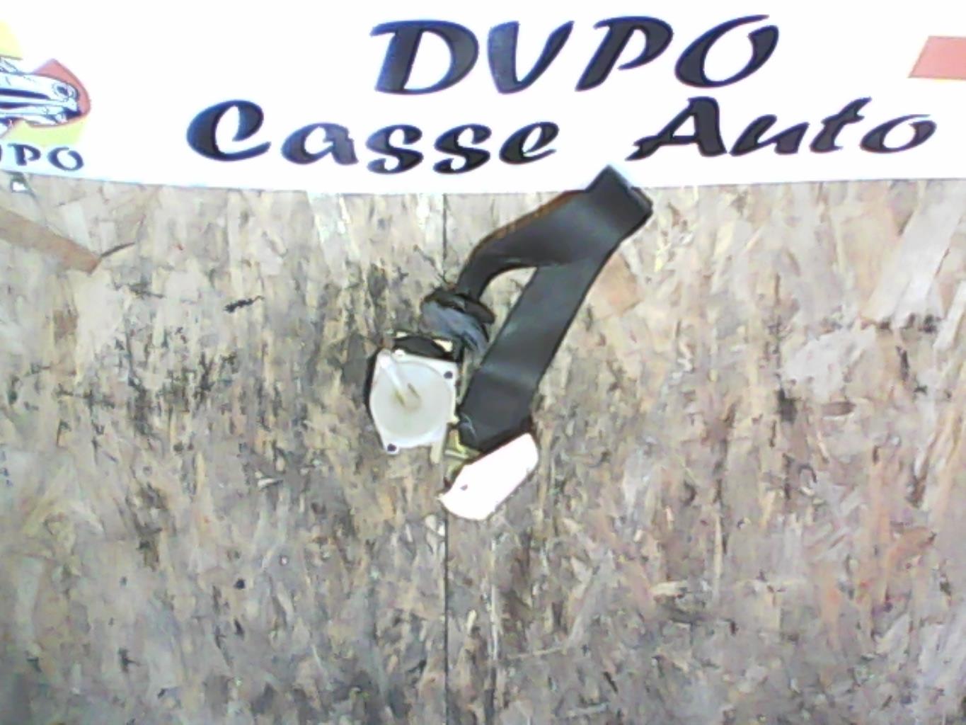 Cintura di sicurezza posteriore sinistra