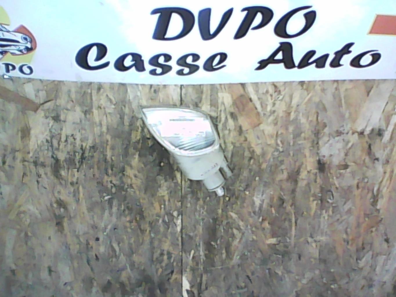 Gruppo ottico anteriore secondario sinistro (luci)(freccia)