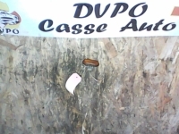 Ripetitore lampeggiante anteriore destro (Luci)