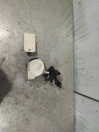 Cintura di sicurezza posteriore destra terza fila