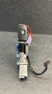 Immobilizzatore