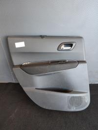 Panneau de porte arriere gauche