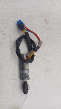 Immobilizzatore