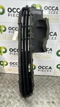 Grille de pare choc