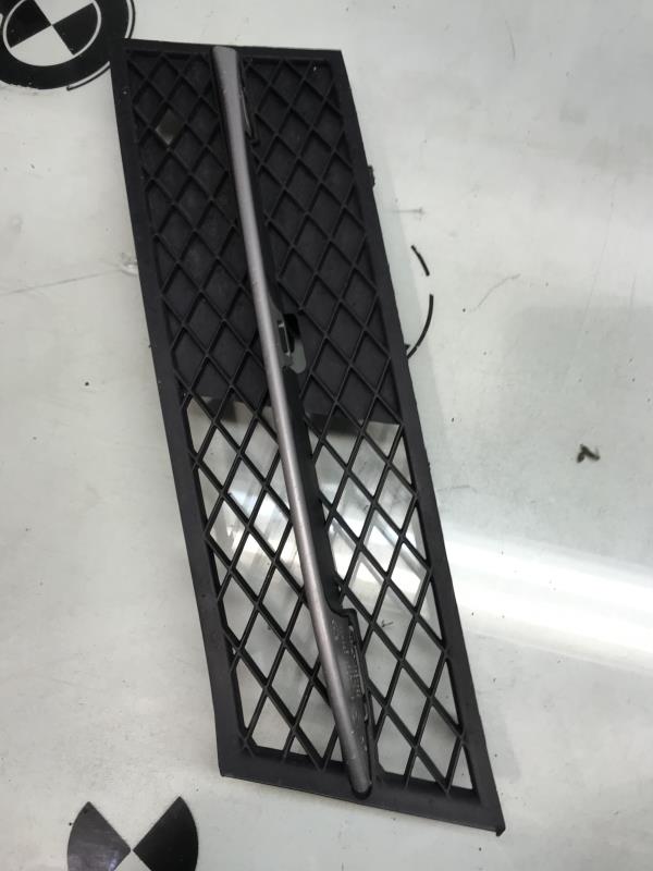 Grille de pare choc