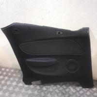 Panel de puerta trasera izquierda