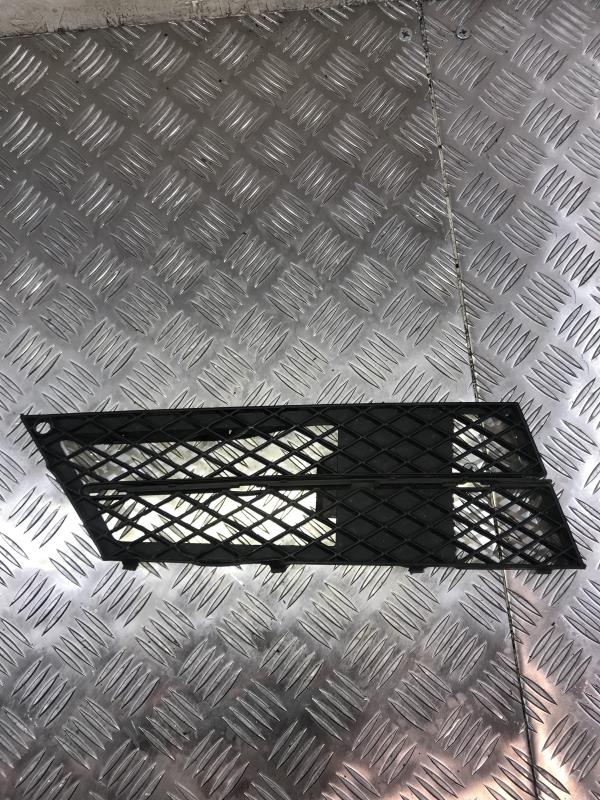 Grille de pare choc