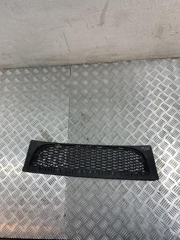 Grille de pare choc