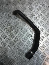 Durite