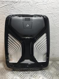 Luce di cortesia