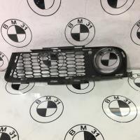 Grille de pare choc