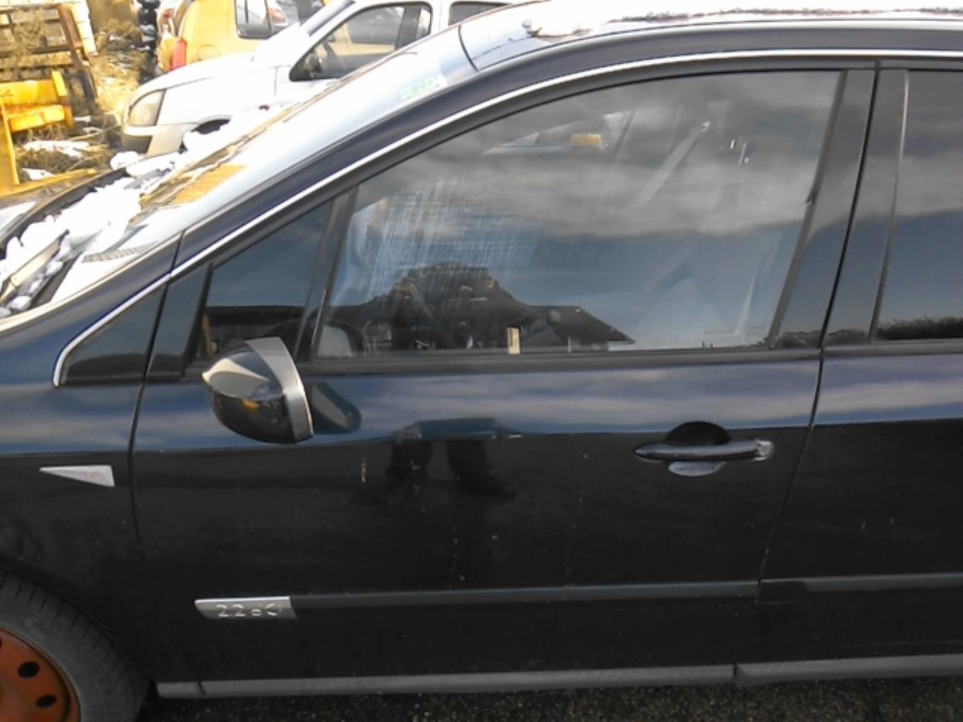 Porte avant gauche