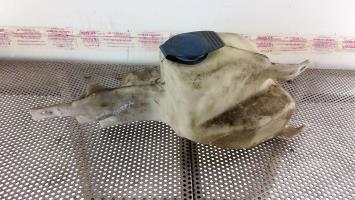 Vase de lave glace
