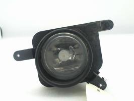 Fendinebbia sinistro (luce)