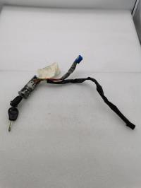 Immobilizzatore