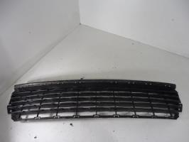 Grille de pare choc