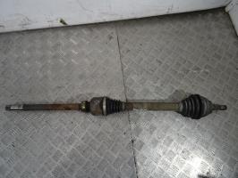 Cardan droit (transmission)
