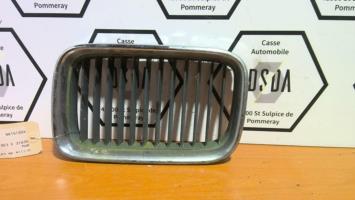 Grille de calandre gauche