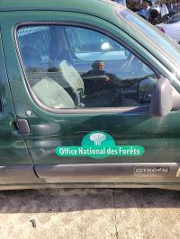 Portiera anteriore destra