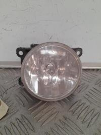Fendinebbia sinistro (luce)