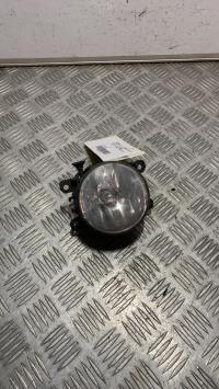 Fendinebbia sinistro (luce)