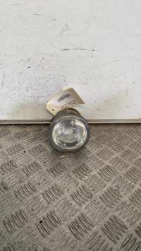 Fendinebbia sinistro (luce)