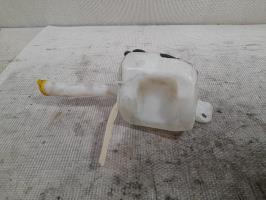 Vase de lave glace
