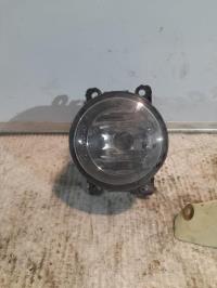 Fendinebbia sinistro (luce)