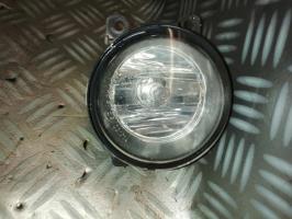 Fendinebbia sinistro (luce)