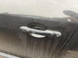 Poignee porte avant gauche