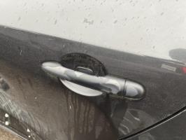 Poignee porte arriere gauche