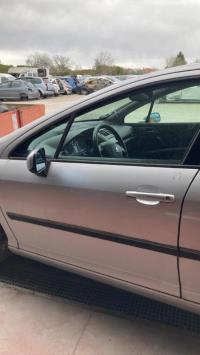 Porte avant gauche