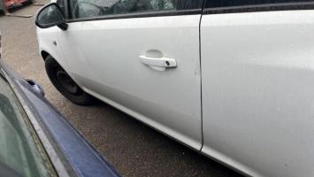 Porte avant gauche