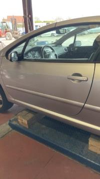 Porte avant gauche