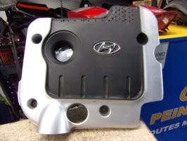 Cache moteur 