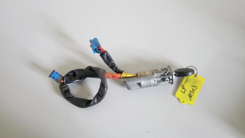 Immobilizzatore