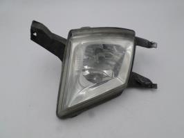 Fendinebbia sinistro (luce)