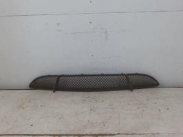 Grille de pare choc