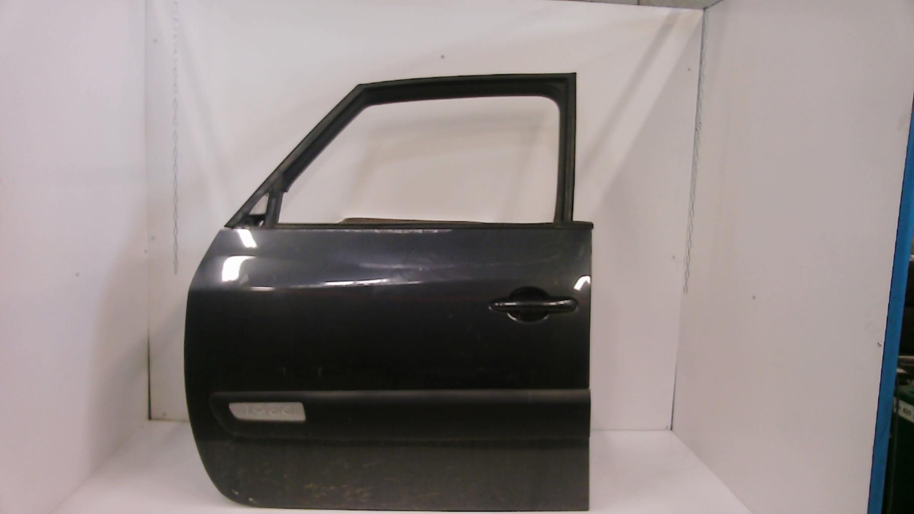 Porte avant gauche