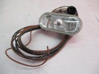 Ripetitore lampeggiante anteriore destro (Luci)