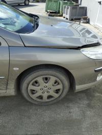 Parafango anteriore destro