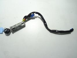 Immobilizzatore